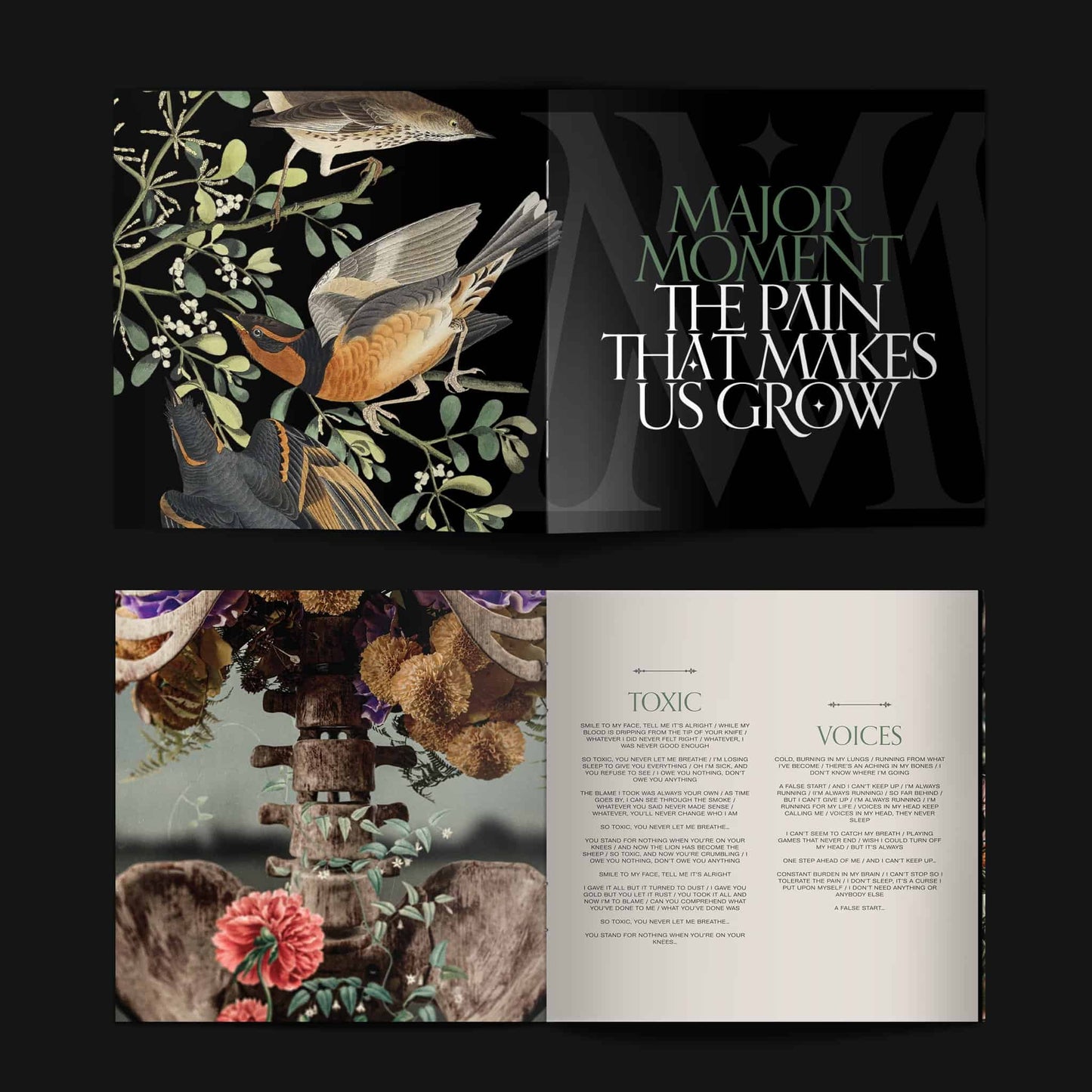 "The Pain That Makes Us Grow" Deluxe Double CD Book