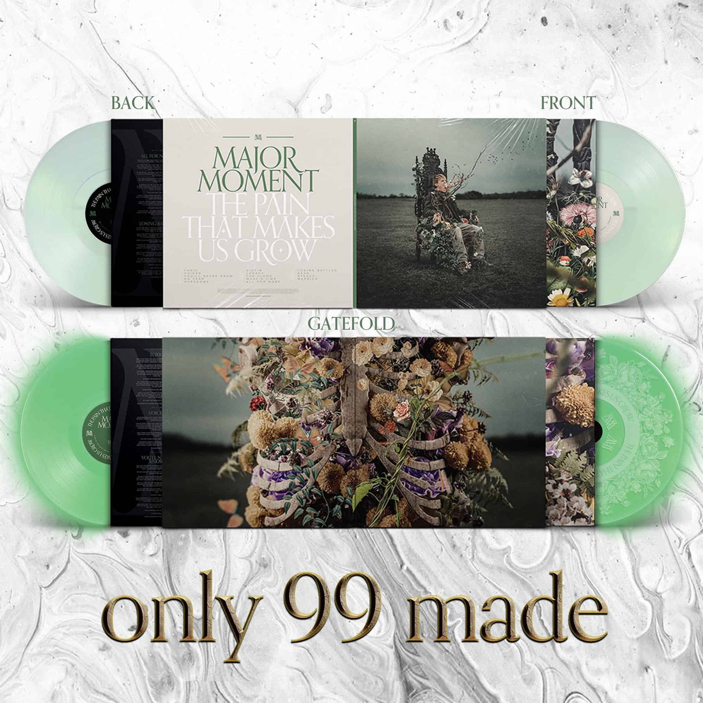 ALL IN BUNDLE - "The Pain That Makes Us Grow" Double Vinyl