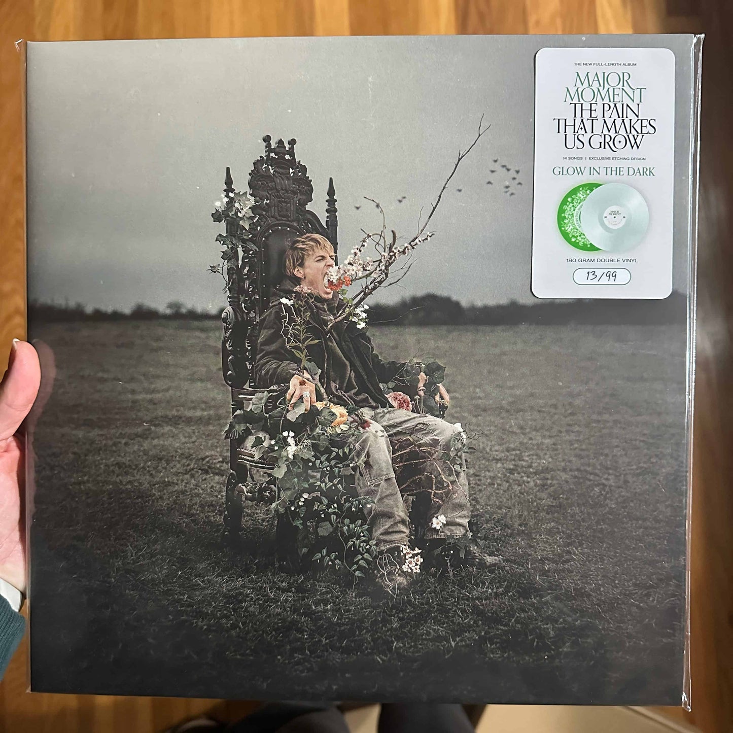"The Pain That Makes Us Grow" Double Vinyl