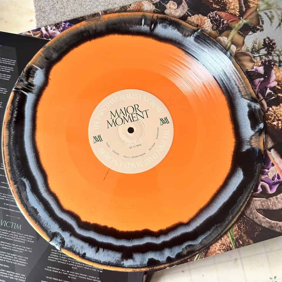 "The Pain That Makes Us Grow" Double Vinyl